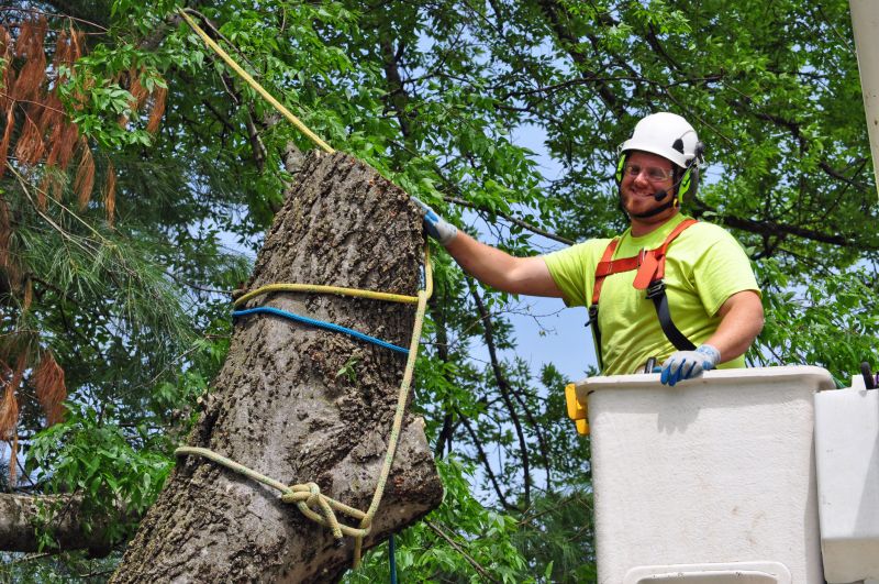 Tree Relocation