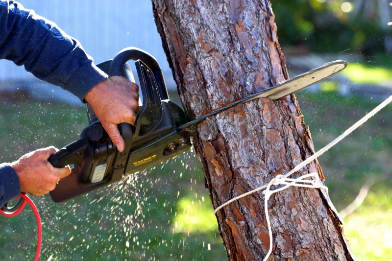 Tree Care in Action